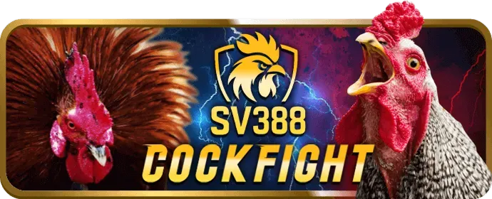 Thông tin thu thập từ người dùng sv388link bet